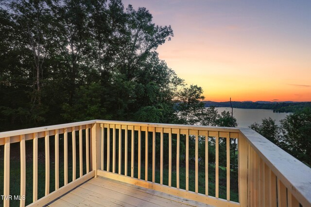 117 Trail Ln, Gray, TN 37615 - photo 23