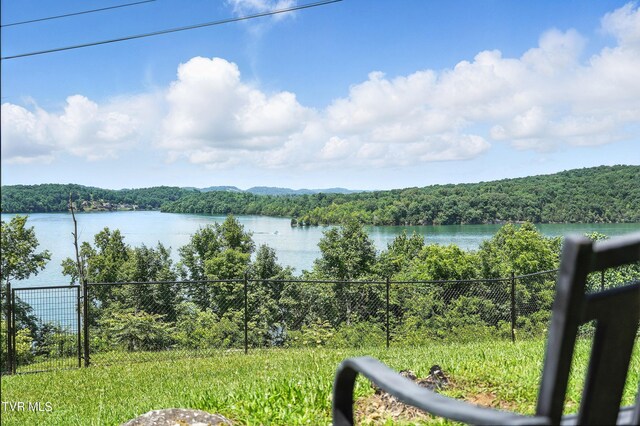 117 Trail Ln, Gray, TN 37615 - photo 29