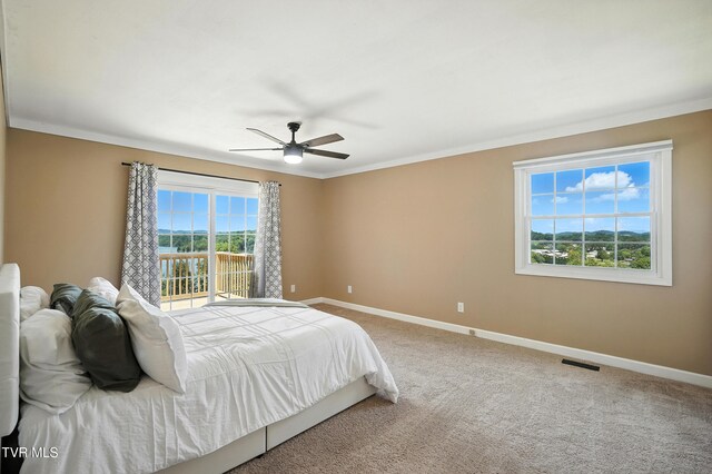 117 Trail Ln, Gray, TN 37615 - photo 13