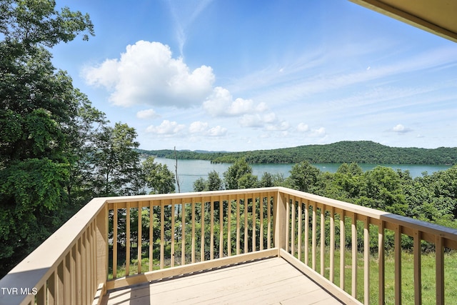 117 Trail Ln, Gray, TN 37615 - photo 19