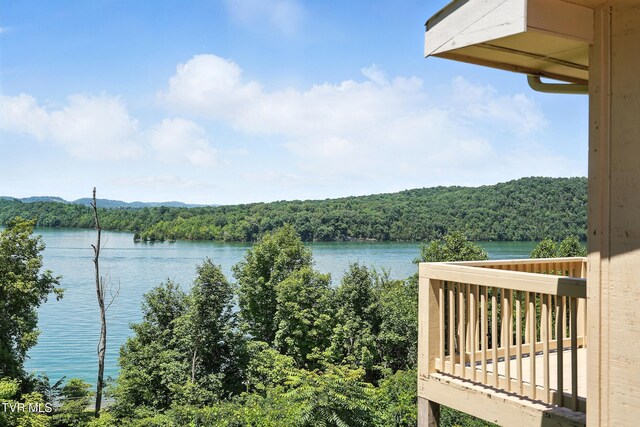 117 Trail Ln, Gray, TN 37615 - photo 24