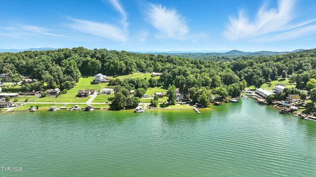 117 Trail Ln, Gray, TN 37615 - photo 31