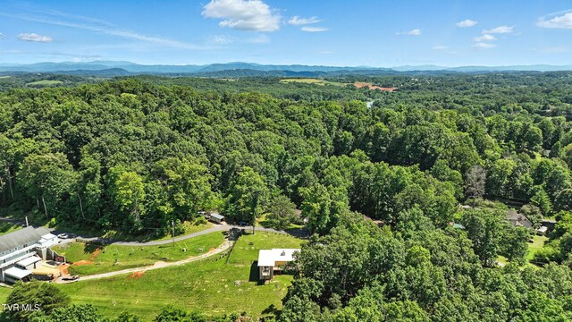 117 Trail Ln, Gray, TN 37615 - photo 32