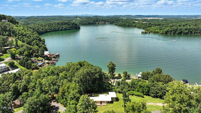 117 Trail Ln, Gray, TN 37615 - photo 33