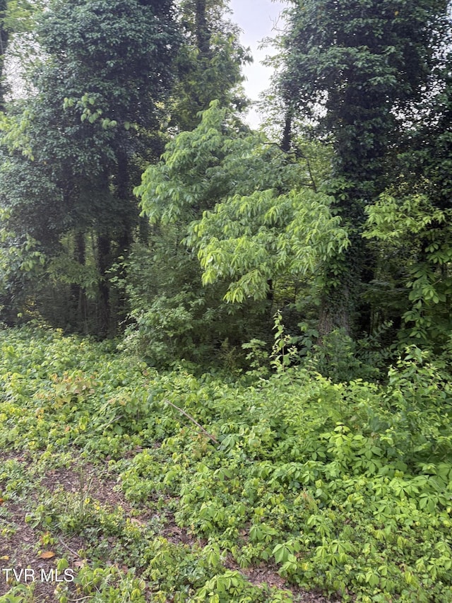 LOT17 Ashley St, Kingsport, TN 37664