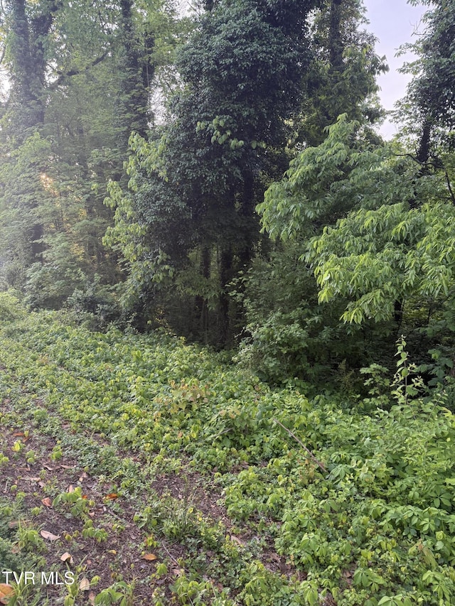 LOT17 Ashley St, Kingsport, TN 37664