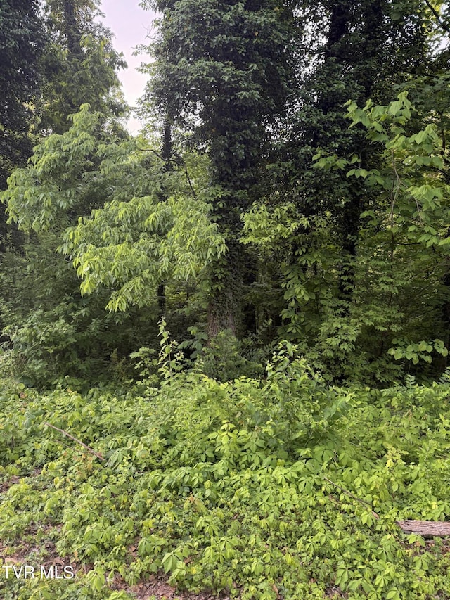 LOT17 Ashley St, Kingsport, TN 37664