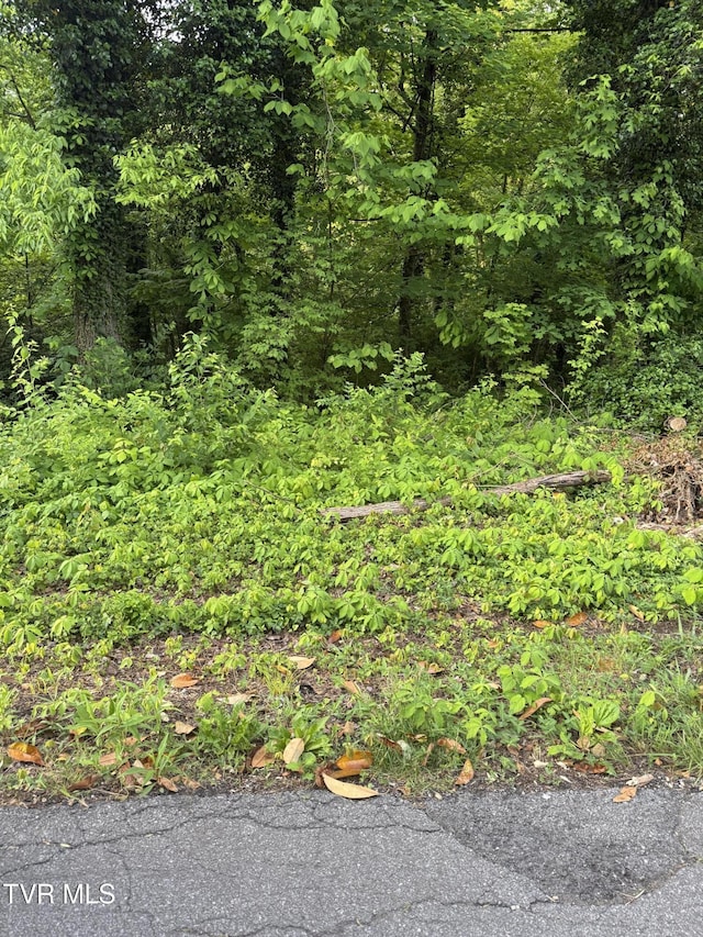 LOT17 Ashley St, Kingsport, TN 37664