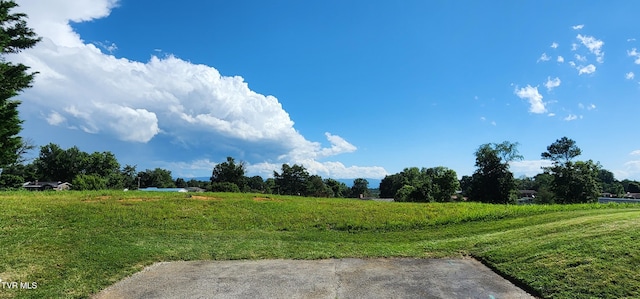312 Old Franklin Pl Unit 5, Jonesborough, TN 37659 - view of yard with a rural view