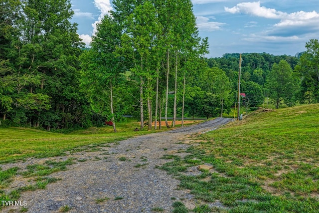 171 Hartmantown Rd, Jonesborough, TN 37659