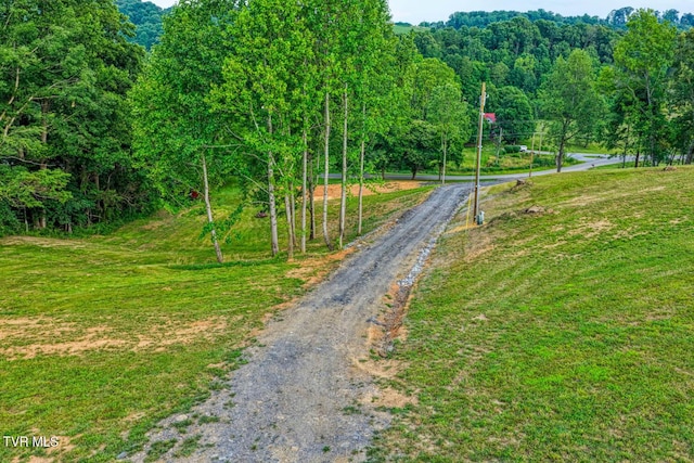 171 Hartmantown Rd, Jonesborough, TN 37659