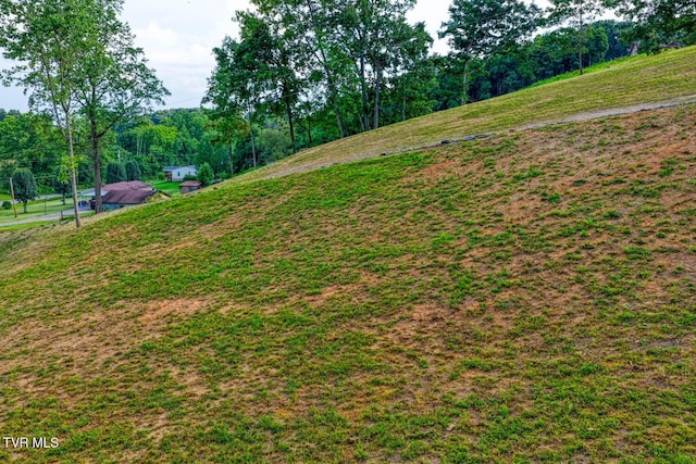 171 Hartmantown Rd, Jonesborough, TN 37659