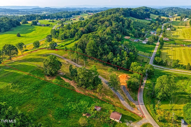 171 Hartmantown Rd, Jonesborough, TN 37659