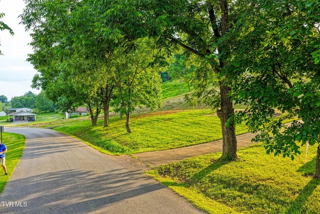 171 Hartmantown Rd, Jonesborough, TN 37659