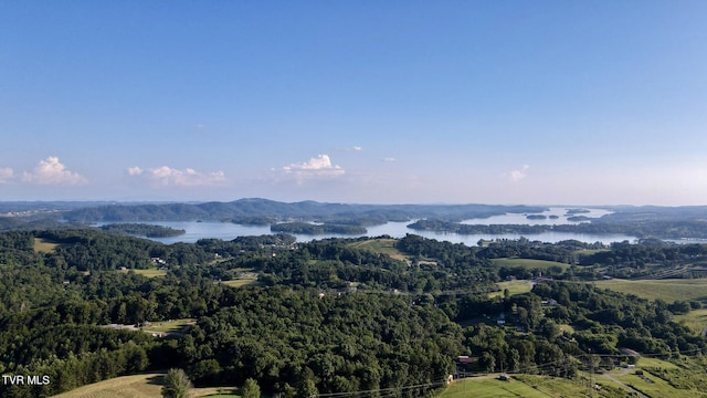 943 Newman Hollow Rd, Bean Station, TN 37708 - bird's eye view of a large body of water and a forest