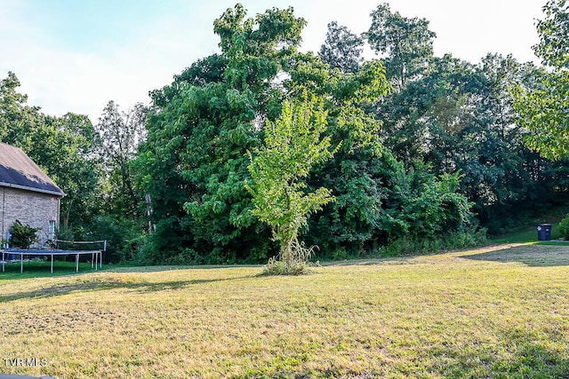 1764 Buckingham Ct, Kingsport, TN 37660