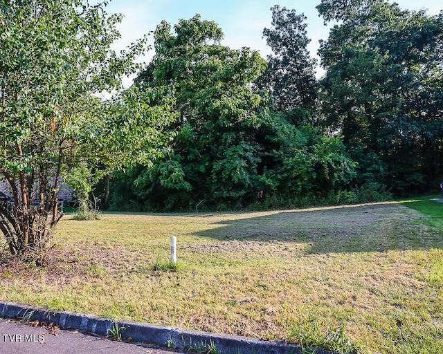 1764 Buckingham Ct, Kingsport, TN 37660