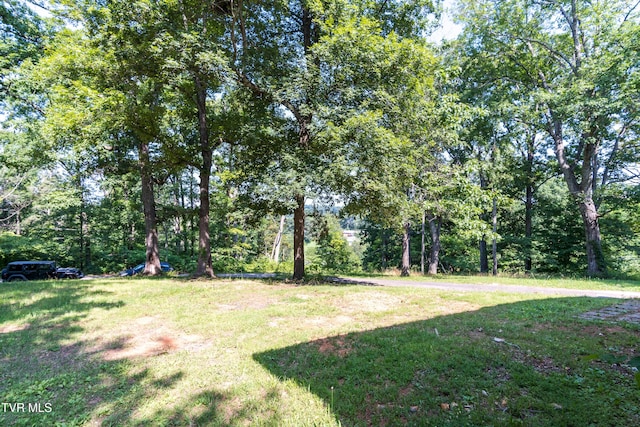 275 Wooded Hts, Greeneville, TN 37743 - photo 36