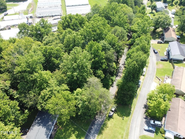 HILLSIDE Hillside Dr, Johnson City, TN 37601 - photo 2