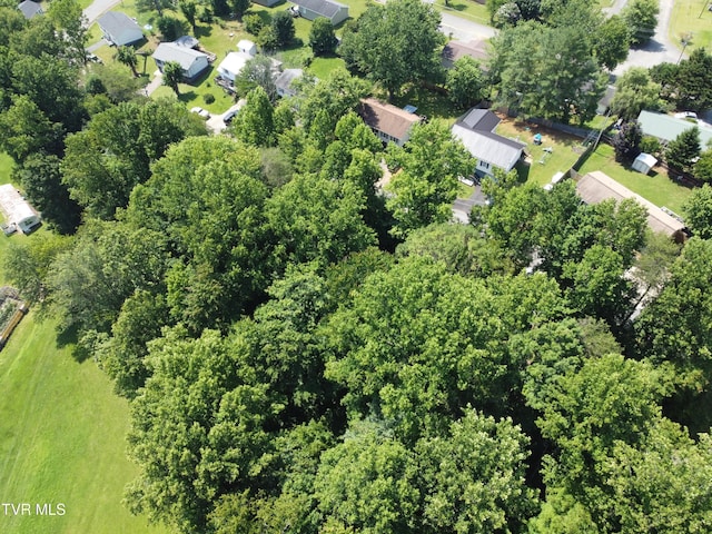 HILLSIDE Hillside Dr, Johnson City, TN 37601 - photo 3
