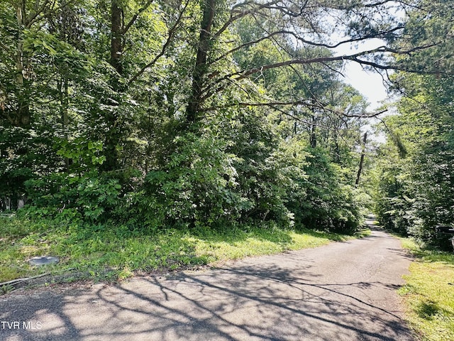 HILLSIDE Hillside Dr, Johnson City, TN 37601 - photo 1