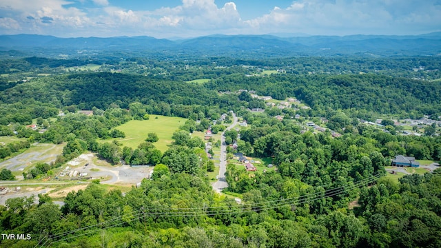 1400 Stoneybrook Dr, Johnson City, TN 37601 - photo 40