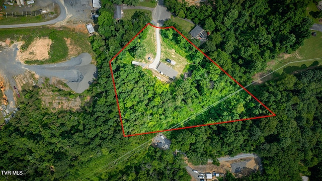 1400 Stoneybrook Dr, Johnson City, TN 37601 - photo 43