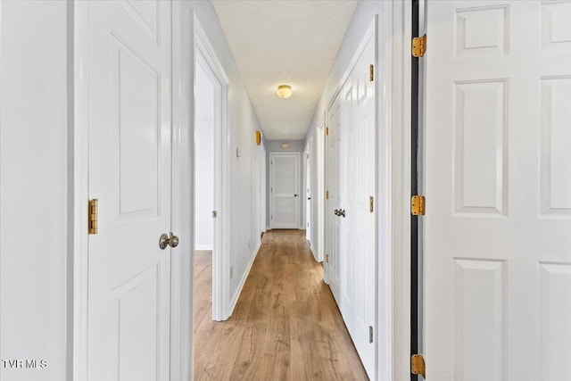 377 Overlook Dr, Blountville, TN 37617 - corridor with light wood-type flooring and a textured ceiling