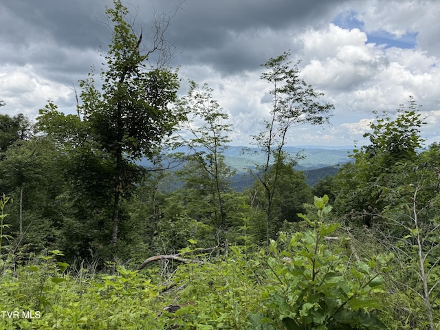 TBD Log Cabin Ln, Roan Mountain, TN 37687