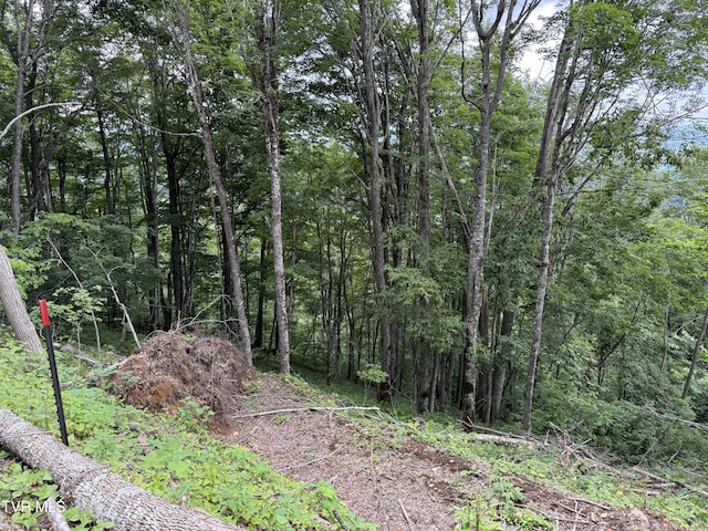 TBD Log Cabin Ln, Roan Mountain, TN 37687