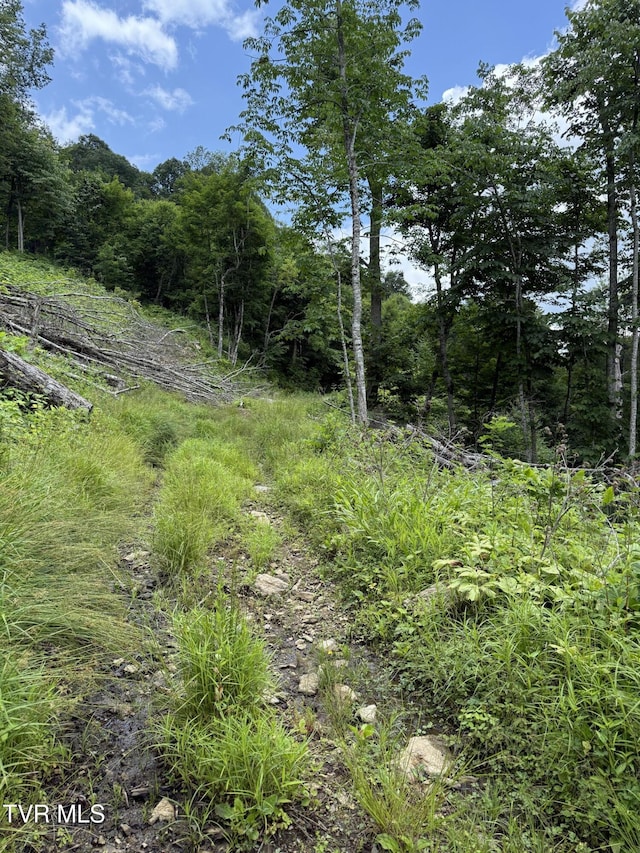 TBD Log Cabin Ln, Roan Mountain, TN 37687