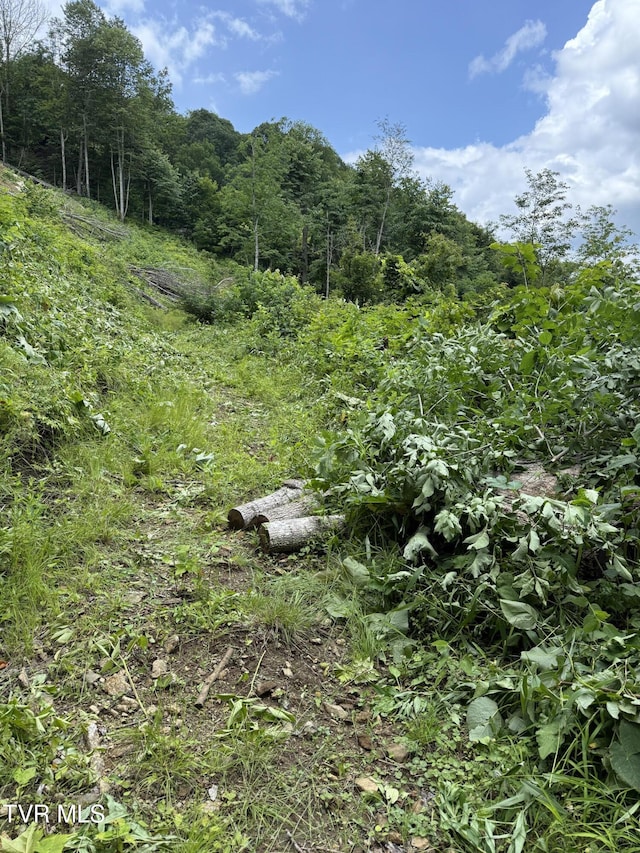 TBD Log Cabin Ln, Roan Mountain, TN 37687