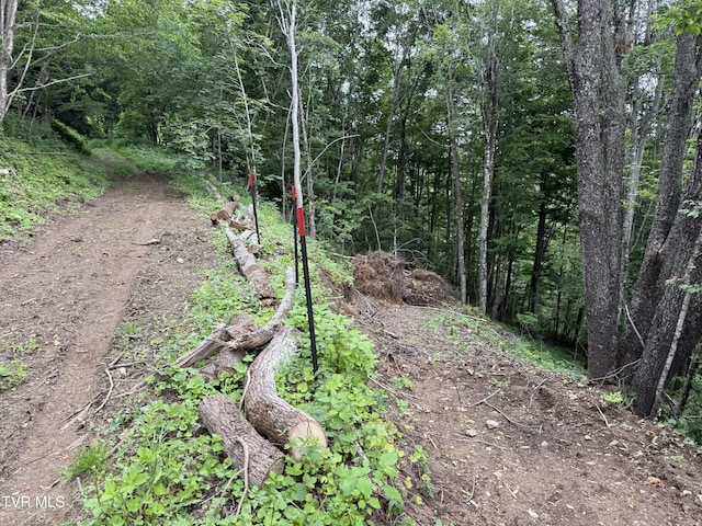 TBD Log Cabin Ln, Roan Mountain, TN 37687
