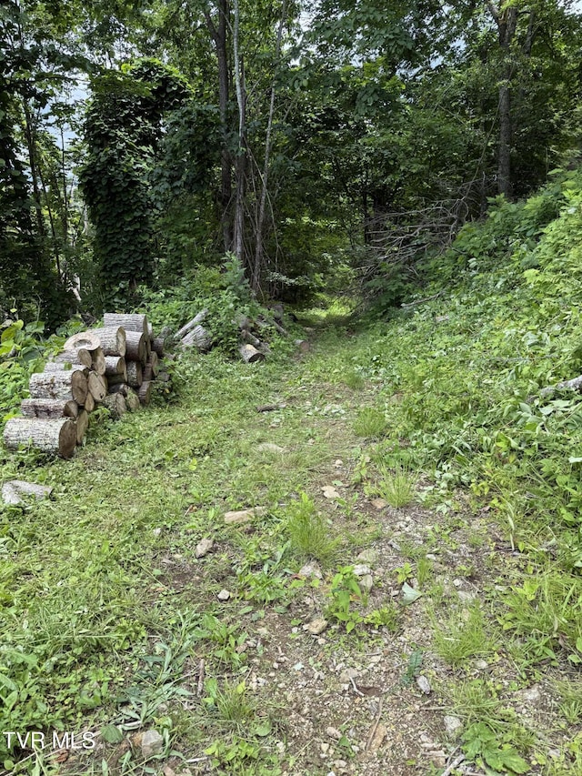 TBD Log Cabin Ln, Roan Mountain, TN 37687