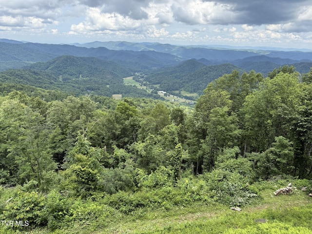 TBD Log Cabin Ln, Roan Mountain, TN 37687
