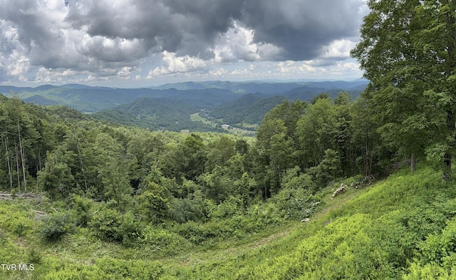 TBD Log Cabin Ln, Roan Mountain, TN 37687