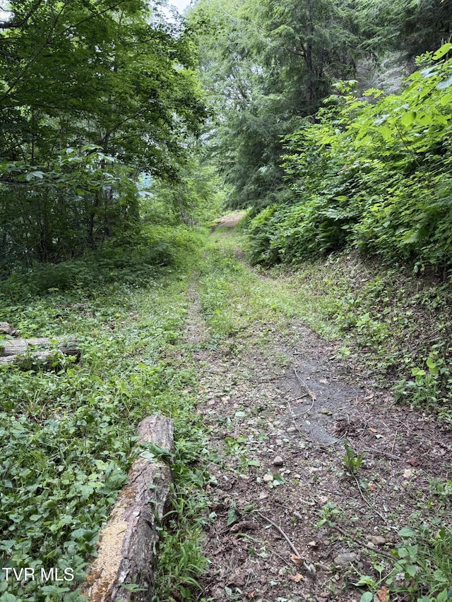 TBD Log Cabin Ln, Roan Mountain, TN 37687