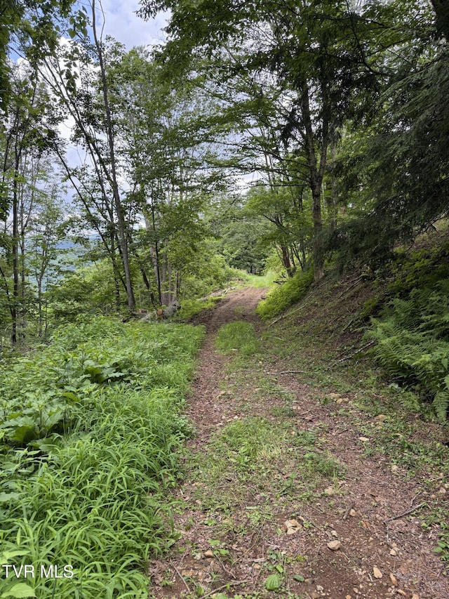 TBD Log Cabin Ln, Roan Mountain, TN 37687