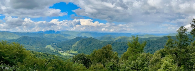 TBD Log Cabin Ln, Roan Mountain, TN 37687