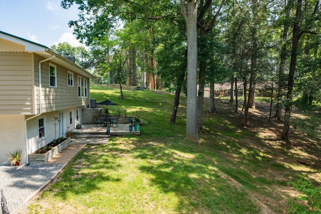101 Ridgewood Dr, Bristol, TN 37620 - view of green lawn
