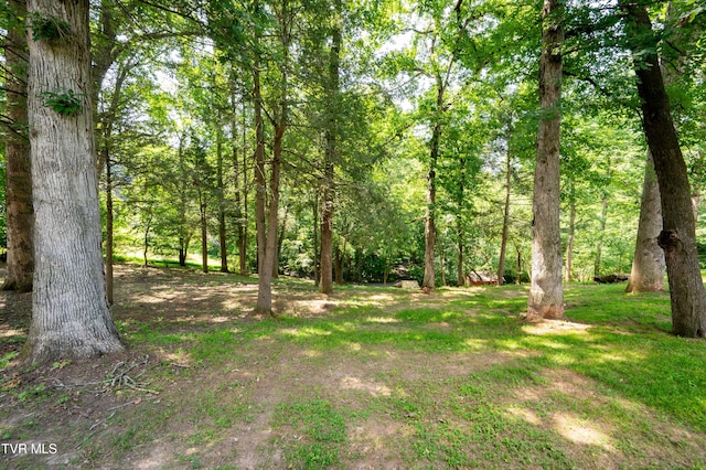 101 Ridgewood Dr, Bristol, TN 37620 - view of yard featuring a view of trees