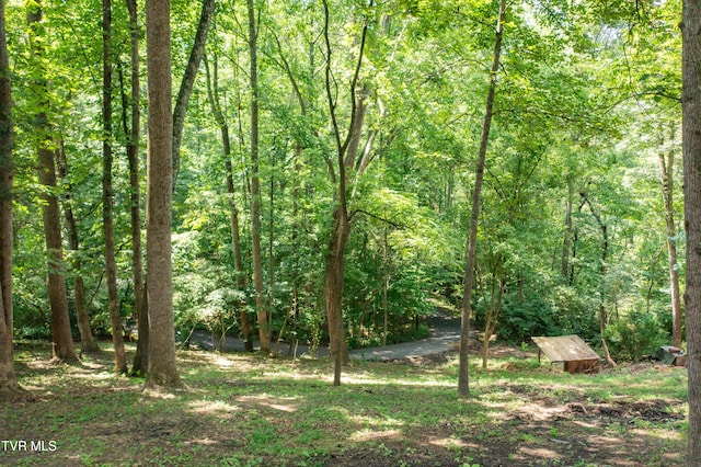 101 Ridgewood Dr, Bristol, TN 37620 - view of woods