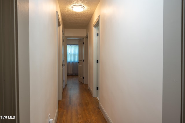 101 Ridgewood Dr, Bristol, TN 37620 - hallway with a textured ceiling and wood finished floors