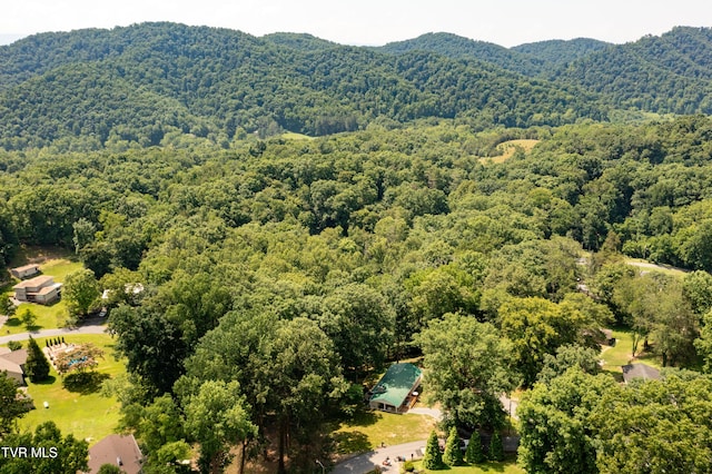 101 Ridgewood Dr, Bristol, TN 37620 - bird's eye view of a forest and mountains