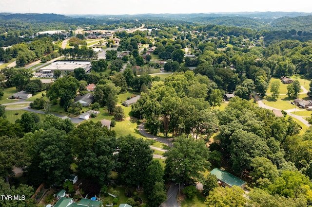 101 Ridgewood Dr, Bristol, TN 37620 - aerial view of a heavily wooded area
