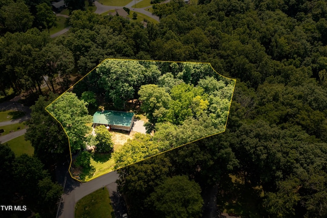 101 Ridgewood Dr, Bristol, TN 37620 - aerial overview of property's location featuring a forest and property parcel outlined