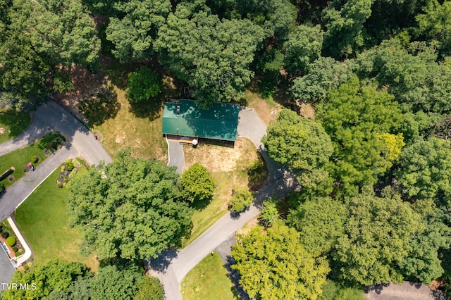101 Ridgewood Dr, Bristol, TN 37620 - aerial overview of property's location