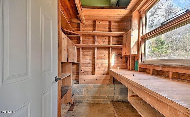 101 Ridgewood Dr, Bristol, TN 37620 - view of storage area