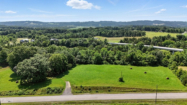 TBD Bertie Patton Rd, Mosheim, TN 37818 - photo 8