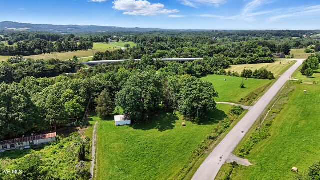 TBD Bertie Patton Rd, Mosheim, TN 37818 - photo 9